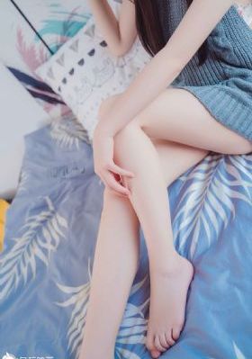 鸣鸿传